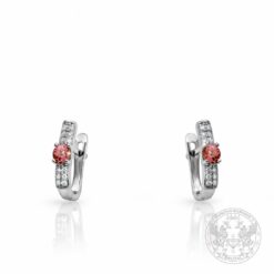 Златни обеци с множество диаманти и централни Гранати - 0,46 ct. BR9707